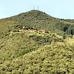 Briz *